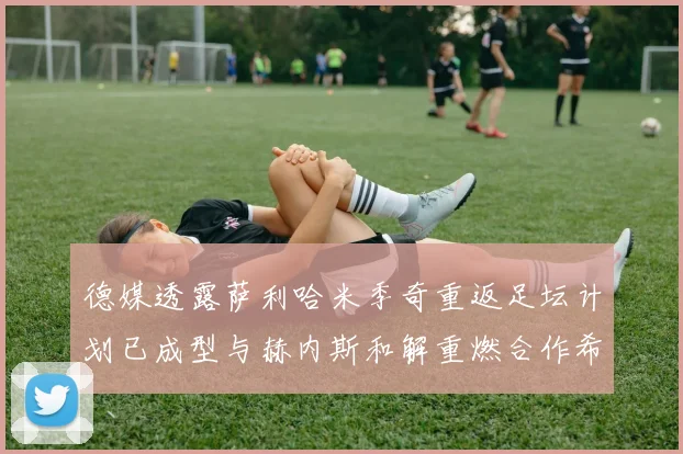 德媒透露萨利哈米季奇重返足坛计划已成型与赫内斯和解重燃合作希望