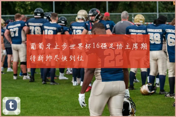 葡萄牙止步世界杯16强足协主席期待新帅尽快到位
